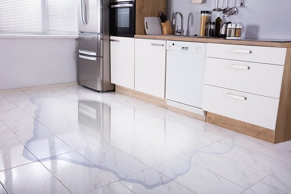 leaking dishwasher repair - dg plumbing